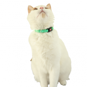  зелен нашийник за котки с висулка-птица CHATOUILLE COLLAR BIRD GRN